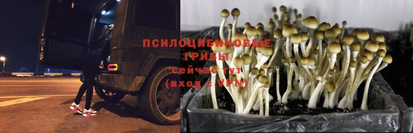 первитин Баксан