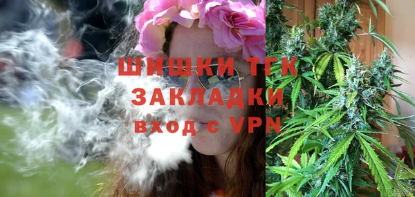 ГАЛЛЮЦИНОГЕННЫЕ ГРИБЫ Балабаново
