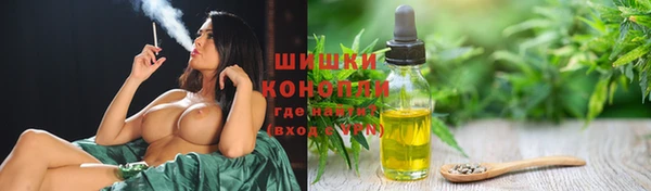 ГАЛЛЮЦИНОГЕННЫЕ ГРИБЫ Балабаново