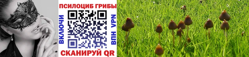 цена   Избербаш  Псилоцибиновые грибы мухоморы 